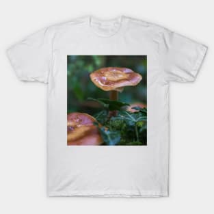 Beautiful watery mushrooms in a bed of green muss in a forest. T-Shirt